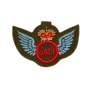 British Army Qualified Air Despatch Instructors Qualification Badge