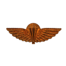 British Special Air Service (SAS) Tropical Parachute Wings Badge, Item 2