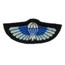 British Army 23rd Special Air Service (SAS) Parachute Wings - British Army Surplus - Flags, Badges & Insignia