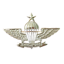 Singapore Armed Forces Senior Parachutist Badge