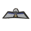 Dutch Army Parachute A-Wing Qualification Badge with Gold Star