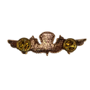 Novelty USN USMC Gold Jump Wings Pin