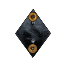NZ Army 2CantNMWC Badge
