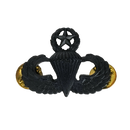 US Army Master Parachutist Badge