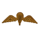 British Army Tropical Parachutist Wings Badge, Item 2