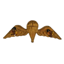 British Army Tropical Parachutist Wings Badge, Item 2