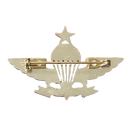 Singapore Armed Forces Senior Parachutist Badge