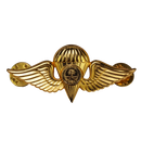 Saudi Arabian Armed Forces Parachutist Badge, Item 2
