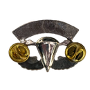 US Army Special Forces Airborne Badge