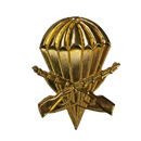 Argentine Army Airborne Infantry Beret Badge, Item 2