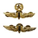 Honduran Army Basic and Master Parachutist Badges