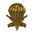 Argentine Army Airborne Infantry Beret Badge, Item 2