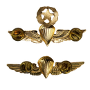 Honduran Army Basic and Master Parachutist Badges