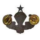 Philippine Army Senior Parachutist Badge