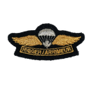 Canadian Armed Forces Rigger Qualification Patch, Item 2
