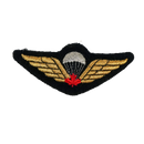 Canadian Armed Forces Basic Parachutist Qualification Patch, Item 2 - Canadian Army Surplus - Flags, Badges & Insignia