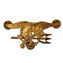 US Navy SEALs 1970s D22 Badge