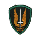 Canadian Armed Forces Special Service Force Brigade Patch, Item 2