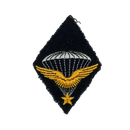 Free French WW2 1st Parachute Infantry Regiment Wings Patch - French Army Surplus - Flags, Badges & Insignia
