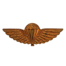 Post-WWII British SAS Tropical Dress Parachute Wings