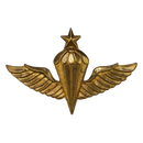 Republic of Korea Navy 1960s Senior Parachutist Badge
