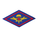 Soviet Airborne Forces Felt Patch