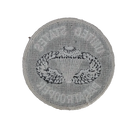 United States Paratrooper Jump Wings Patch