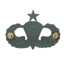 US Army 1960s Senior Jump Wings Badge