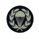 British Royal Air Force Parachute Jump Training Instructor Patch