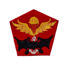Republic of Korea Marine Special Forces Parachute Wings Patch