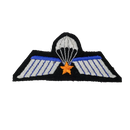 Dutch Army Parachute A-Wing Qualification Badge with Gold Star, Item 2