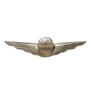 Austrian Armed Forces Free Fall Parachutist Badge