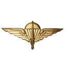 Belgian Para-Commando Brigade Badge