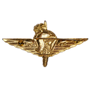 Belgian Paratrooper Commando Gold Badge - Belgian Army Surplus - Flags, Badges & Insignia