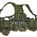 British Army DPM PLCE Web Set - Small