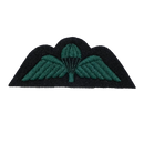 British Army Royal Irish Regiment Parachute Jump Wings