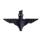 British Parachute Regiment Black Beret Badge