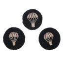 British Parachutist (non-operational) Proficiency Arm Patches