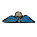 Bullion Paratrooper Badge - Army & Outdoors - Flags, Badges & Insignia