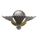 Cambodian Army Parachute Badge