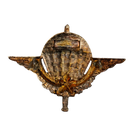 Cameroon Parachute Wings Badge