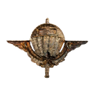Cameroon Parachute Wings Badge, Item 2