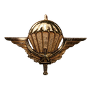 Cameroon Parachute Wings Badge, Item 2