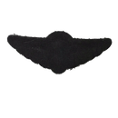 Canadian Forces Basic Parachutist Qualification Wing Patch