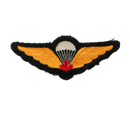 Canadian Forces Basic Parachutist Qualification Wing Patch
