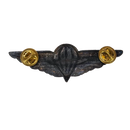 Ciskei Defence Force (CDF) Parachute Wing - Basic Badge