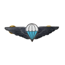 Ciskei Defence Force (CDF) Parachute Wing - Basic Badge