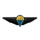 Ciskei Defence Force (CDF) Parachute Wing - Basic Badge, Item 2