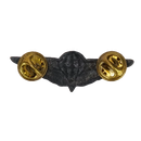 Ciskei Defence Force (CDF) Parachute Wing - Basic Mess Badge