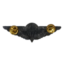 Ciskei Defence Force (CDF) Parachute Wing - Halo Badge